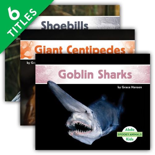 Cover image for Spooky Animals (Set)