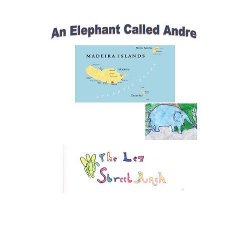 Cover image for An Elephant Called Andre