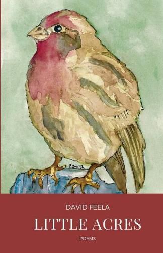 Cover image for Little Acres