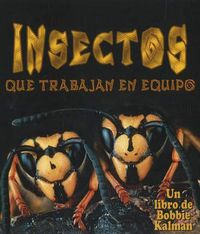 Cover image for Insectos Que Trabajan En Equipo (Insects That Work Together)