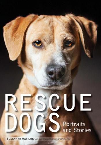 Cover image for Rescue Dogs