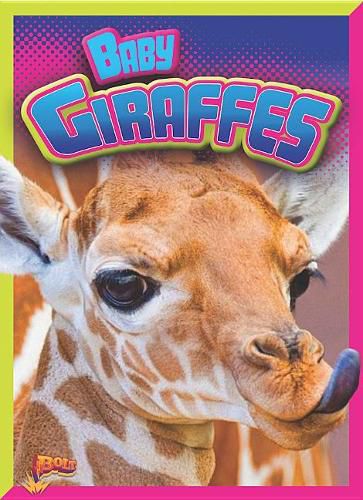 Cover image for Baby Giraffes