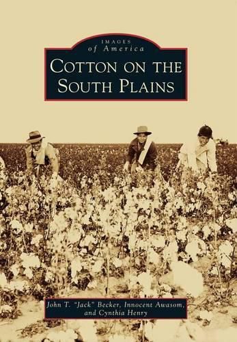 Cover image for Cotton on the South Plains