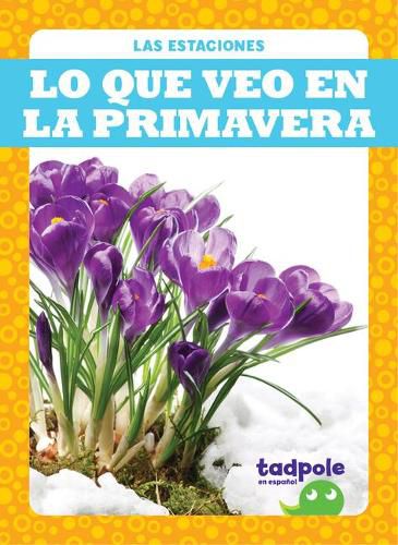 Lo Que Veo En La Primavera (What I See in Spring)