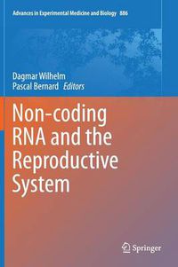 Cover image for Non-coding RNA and the Reproductive System