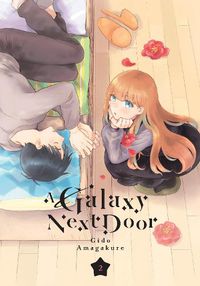 Cover image for A Galaxy Next Door 2