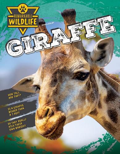 Cover image for Giraffe