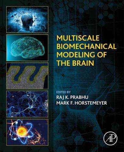 Cover image for Multiscale Biomechanical Modeling of the Brain