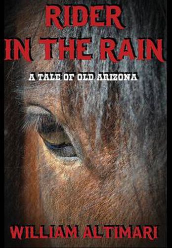 Cover image for Rider in the Rain