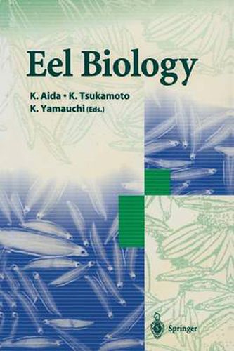 Cover image for Eel Biology