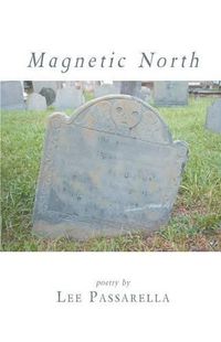 Cover image for Magnetic North