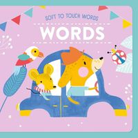 Cover image for Soft to Touch Words Words