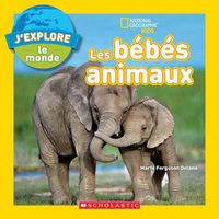 Cover image for National Geographic Kids: j'Explore Le Monde: Les Bebes Animaux