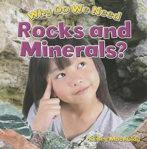 Cover image for Why Do We Need Rocks and Minerals?