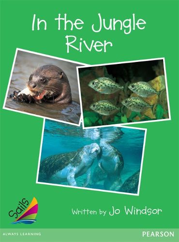 Cover image for Sails Early Green Set 1: In the Jungle River