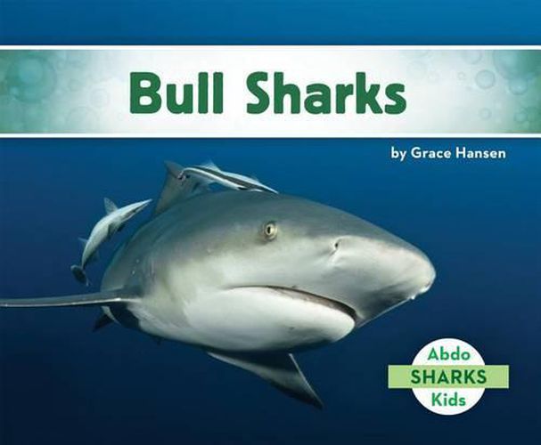 Cover image for Bull Sharks