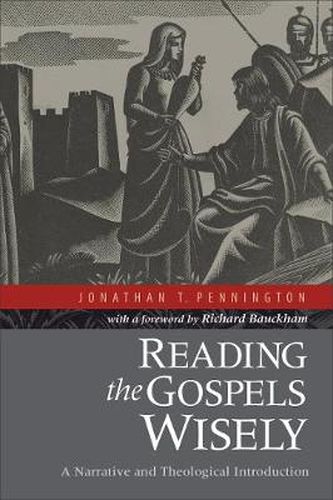 Cover image for Reading the Gospels Wisely - A Narrative and Theological Introduction