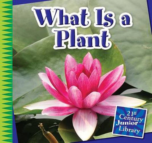 Cover image for What Is a Plant?