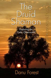 Cover image for Shaman Pathways - the Druid Shaman: Exploring the Celtic Otherworld