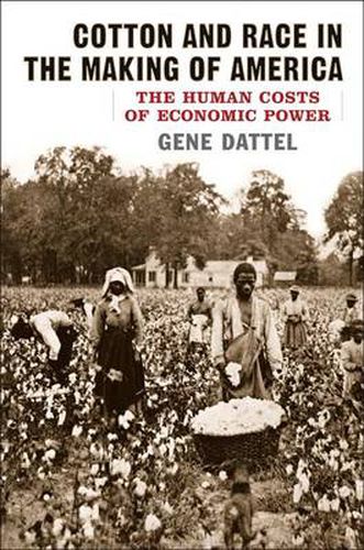 Cover image for Cotton and Race in the Making of America: The Human Costs of Economic Power