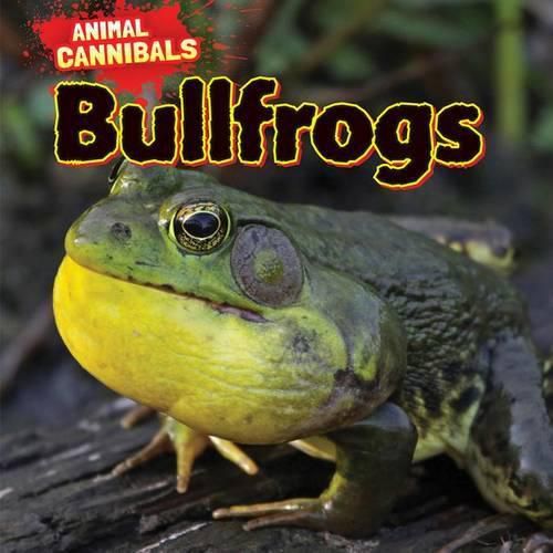 Bullfrogs