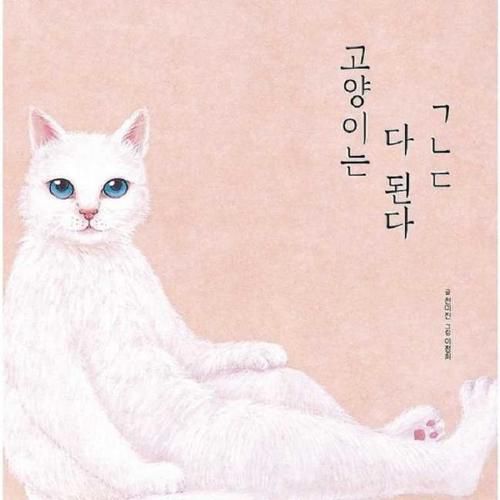 Cover image for Cats Can Do Anything