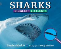 Cover image for Sharks: Biggest! Littlest!