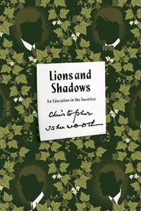 Cover image for Lions and Shadows: An Education in the Twenties