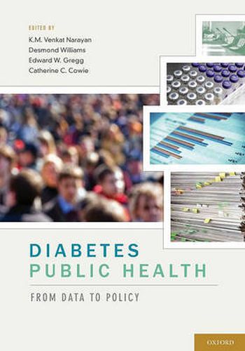 Cover image for Diabetes Public Health: From Data to Policy