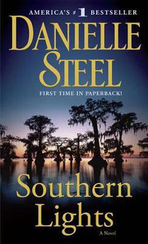 Cover image for Southern Lights: A Novel