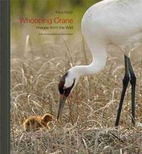 Cover image for Whooping Crane: Images from the Wild