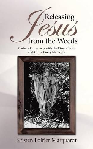 Cover image for Releasing Jesus from the Weeds: Curious Encounters with the Risen Christ and Other Godly Moments