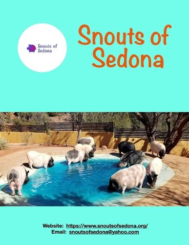 Cover image for Snouts of Sedona