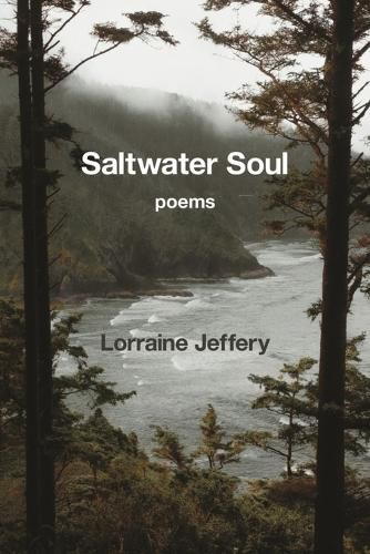 Cover image for Saltwater Soul