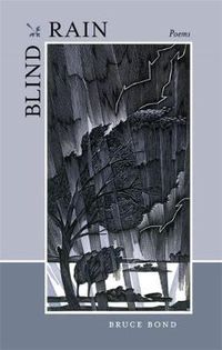 Cover image for Blind Rain: Poems