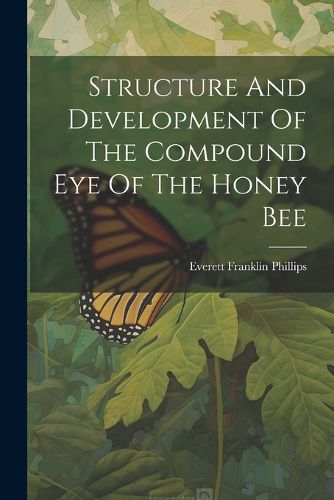 Cover image for Structure And Development Of The Compound Eye Of The Honey Bee