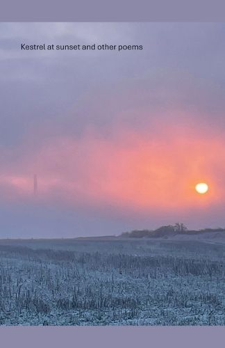 Cover image for Kestrel at sunset and other poems