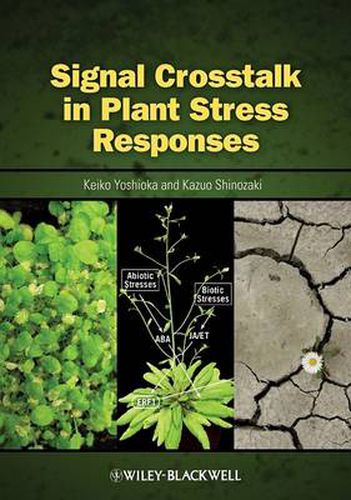 Cover image for Signal Cross Talk in Plant Stress Responses