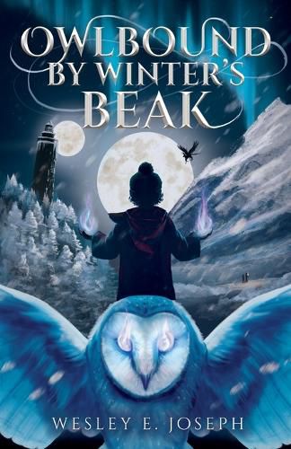 Cover image for Owlbound by Winter's Beak