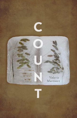 Cover image for Count