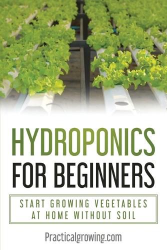 Hydroponics for Beginners: Start Growing Vegetables at Home Without Soil