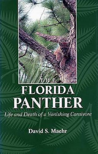 Cover image for The Florida Panther: Life And Death Of A Vanishing Carnivore