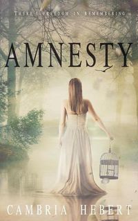 Cover image for Amnesty: Amnesia Duet Book 2