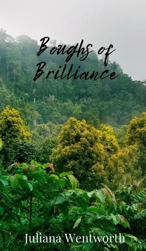 Cover image for Boughs of Brilliance