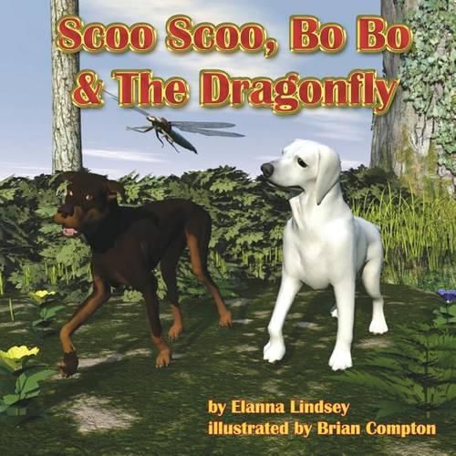 Cover image for Scoo Scoo, Bo Bo & The Dragonfly