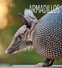 Cover image for Armadillos