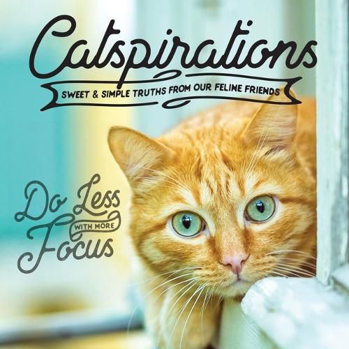 Cover image for Catspirations