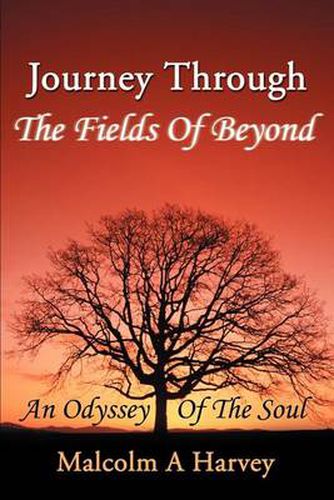 Cover image for Journey Through the Fields of Beyond: An Odyssey of the Soul