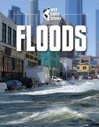 Cover image for Floods