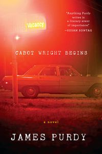 Cover image for Cabot Wright Begins: A Novel